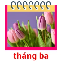 tháng ba flashcards illustrate