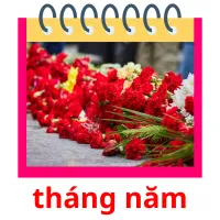 tháng năm flashcards illustrate