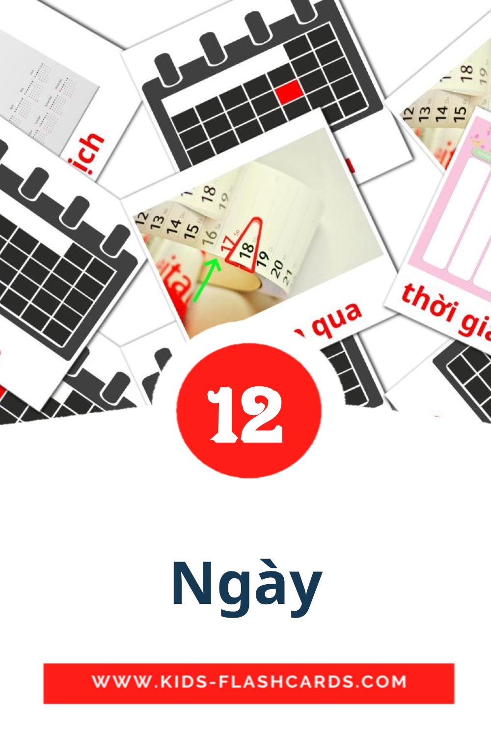 12 Ngày Picture Cards for Kindergarden in vietnamese