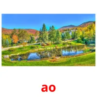 ao flashcards illustrate