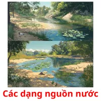 Các dạng nguồn nước flashcards illustrate