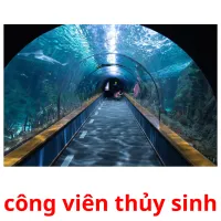 công viên thủy sinh flashcards illustrate