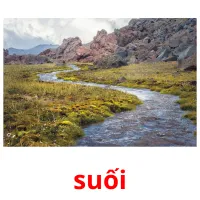 suối flashcards illustrate