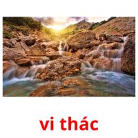 vi thác picture flashcards
