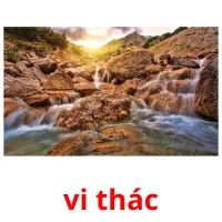 vi thác flashcards illustrate