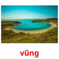 vũng picture flashcards