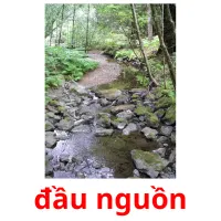 đầu nguồn flashcards illustrate