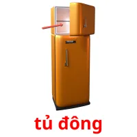 tủ đông picture flashcards