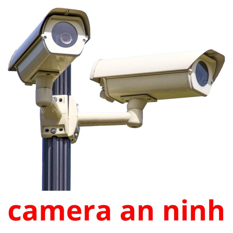 camera an ninh Tarjetas didacticas