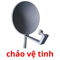 chảo vệ tinh picture flashcards