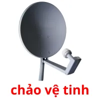 chảo vệ tinh picture flashcards