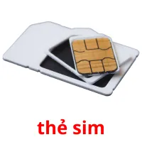 thẻ sim picture flashcards