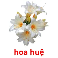 hoa huệ ansichtkaarten