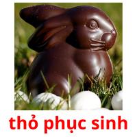 thỏ phục sinh flashcards illustrate