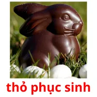 thỏ phục sinh ansichtkaarten