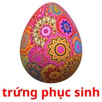 trứng phục sinh flashcards illustrate