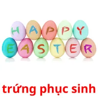 trứng phục sinh ansichtkaarten