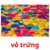 vỏ trứng picture flashcards