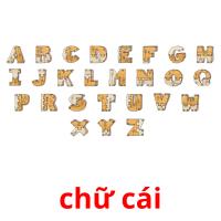 chữ cái picture flashcards