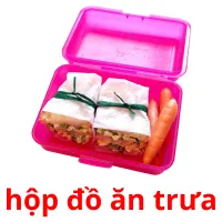 hộp đồ ăn trưa flashcards illustrate