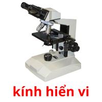 kính hiển vi Tarjetas didacticas