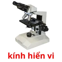 kính hiển vi flashcards illustrate