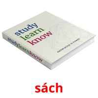 sách picture flashcards