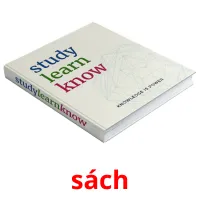 sách flashcards illustrate