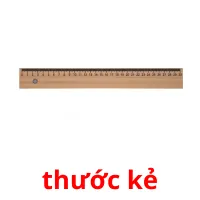 thước kẻ flashcards illustrate