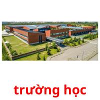 trường học picture flashcards