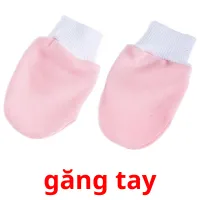 găng tay picture flashcards