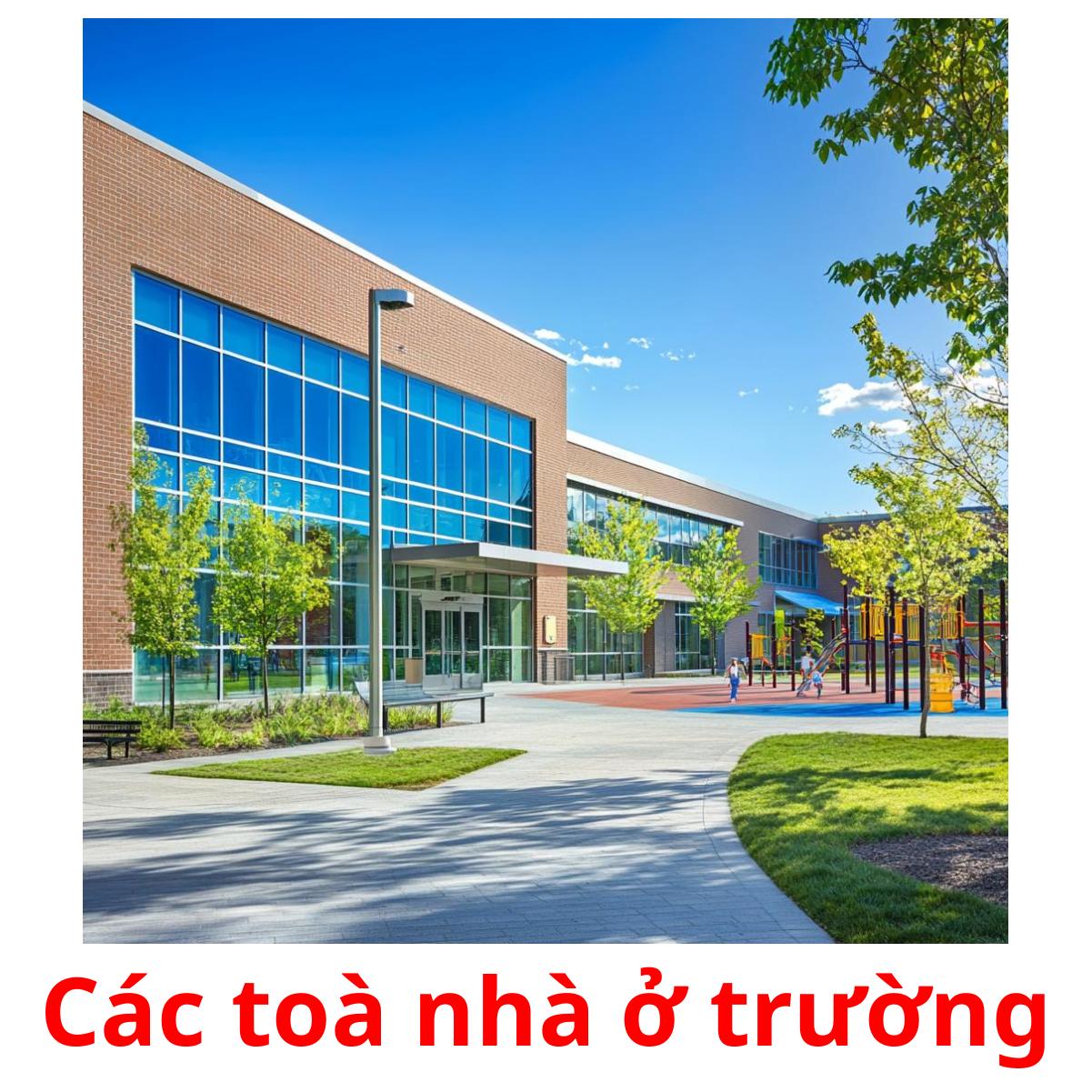 Các toà nhà ở trường flashcards illustrate