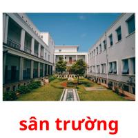 sân trường picture flashcards