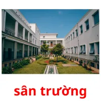 sân trường flashcards illustrate