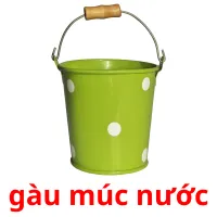 gàu múc nước picture flashcards