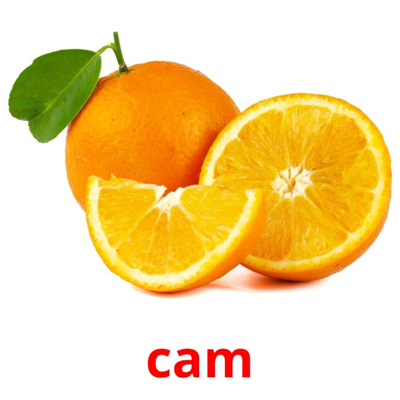 cam picture flashcards