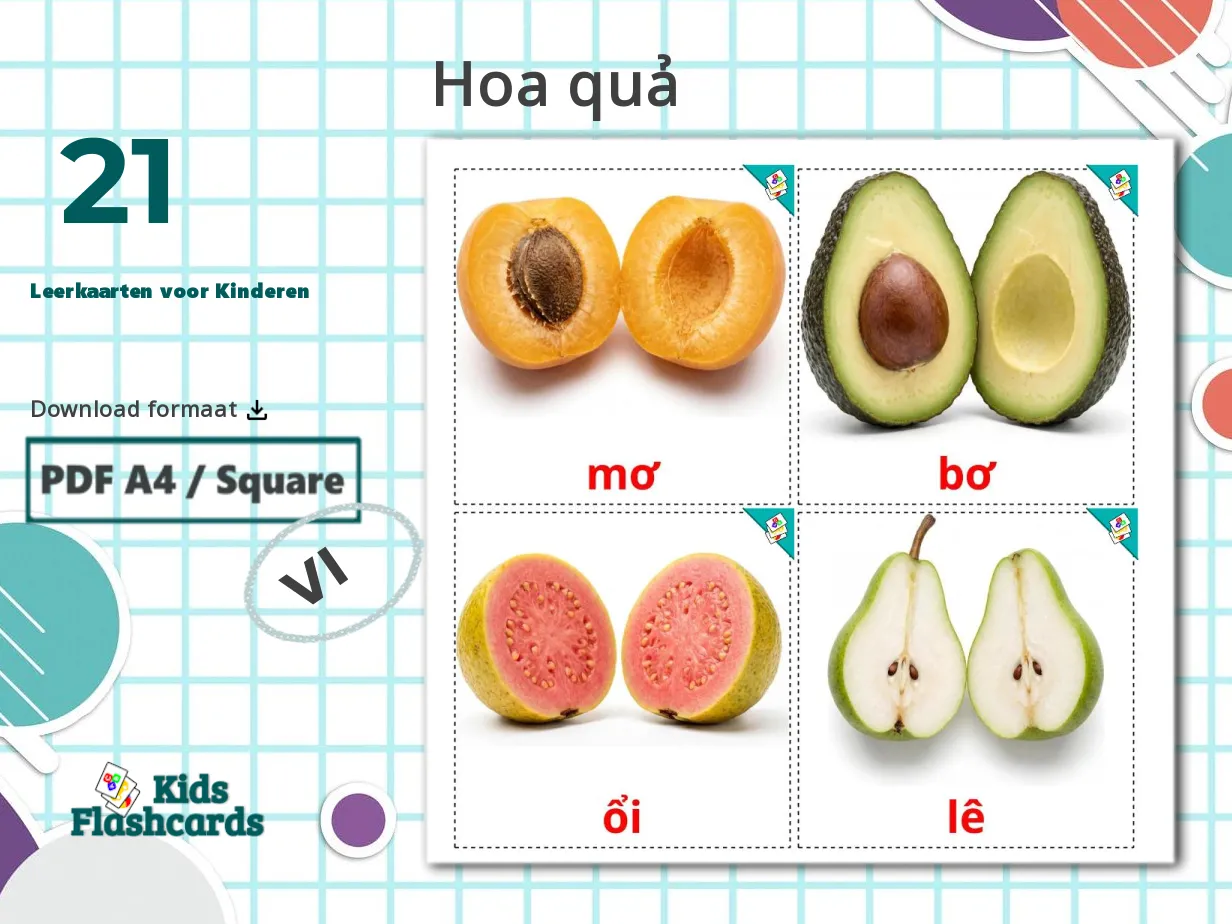 21 GRATIS Fruit Flashcards in 4 PDF formaten | Vietnamese Afbeeldingen