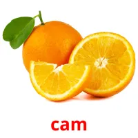 cam ansichtkaarten