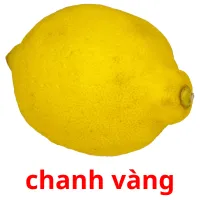 chanh vàng ansichtkaarten