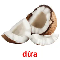 dừa ansichtkaarten