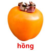 hồng picture flashcards