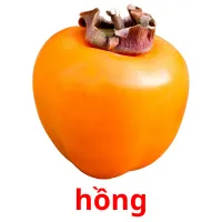 hồng ansichtkaarten