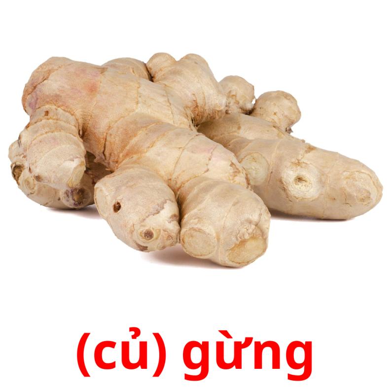 (củ) gừng picture flashcards