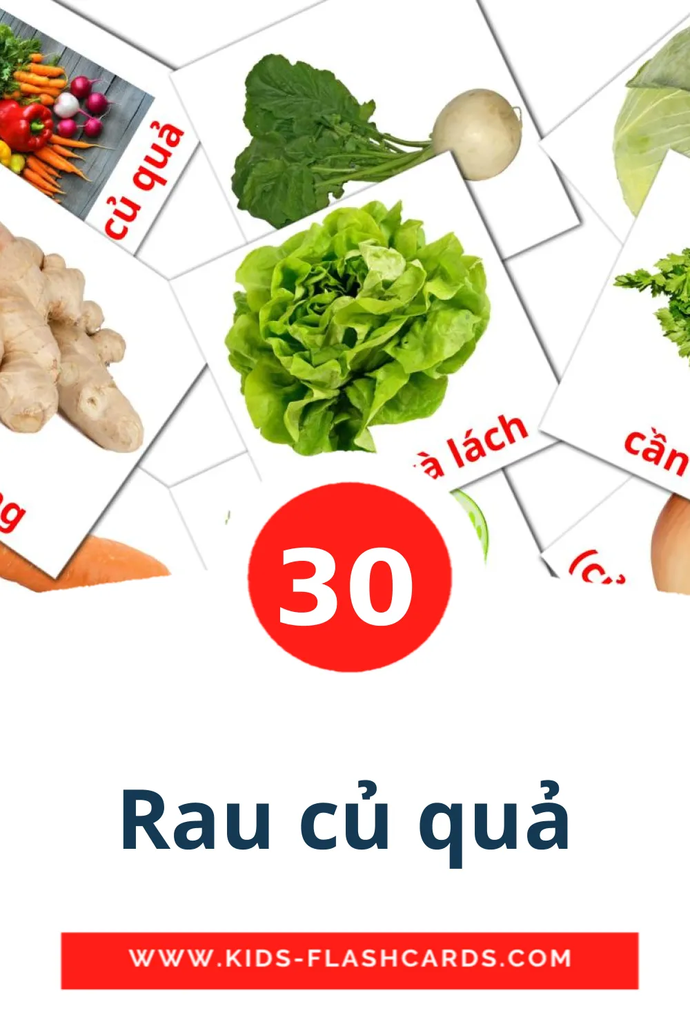 30 carte illustrate di Rau củ quả per la scuola materna in vietnamita