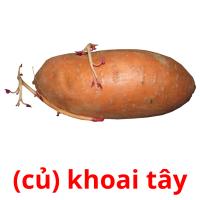 (củ) khoai tây card for translate
