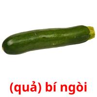 (quả) bí ngòi picture flashcards
