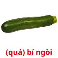 (quả) bí ngòi flashcards illustrate