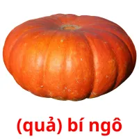 (quả) bí ngô flashcards illustrate