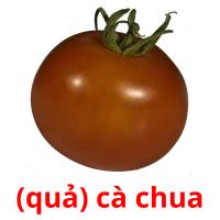 (quả) cà chua card for translate