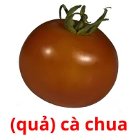 (quả) cà chua flashcards illustrate